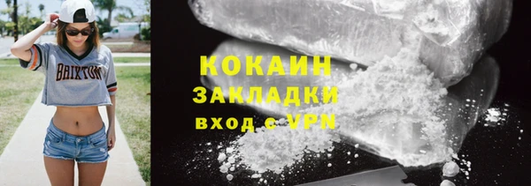 соль ск Богородицк