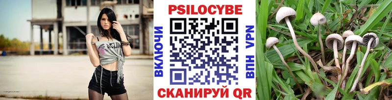 Псилоцибиновые грибы MAGIC MUSHROOMS  магазин продажи   kraken ONION  Жиздра 