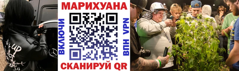 Шишки марихуана план  где можно купить   Жиздра 